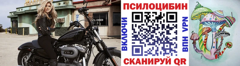 Купить где  Омск  Галлюциногенные грибы прущие грибы 